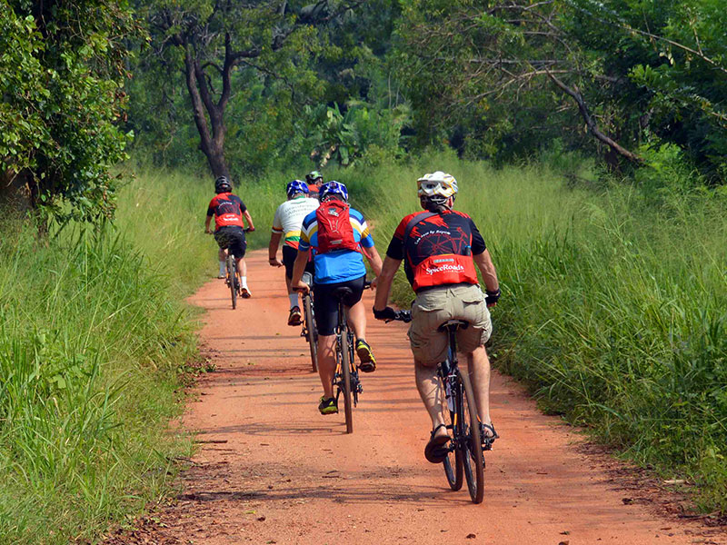 Bicycle on a rural trail